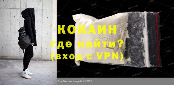 крисы Магас