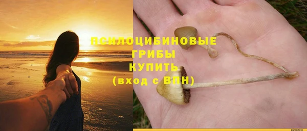 мдпв Магадан