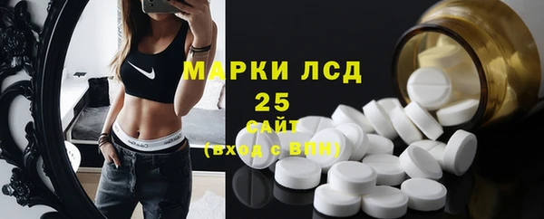 крисы Магас