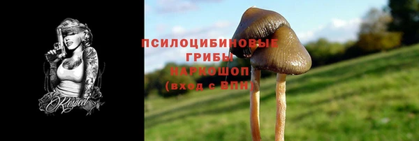 мдпв Магадан