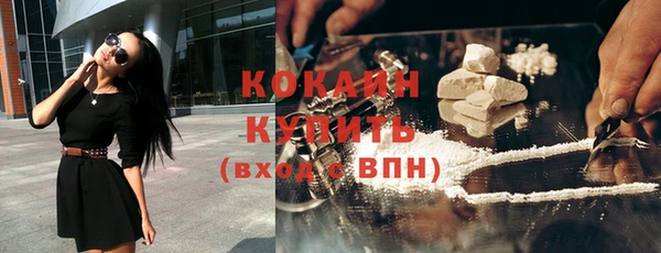 крисы Магас