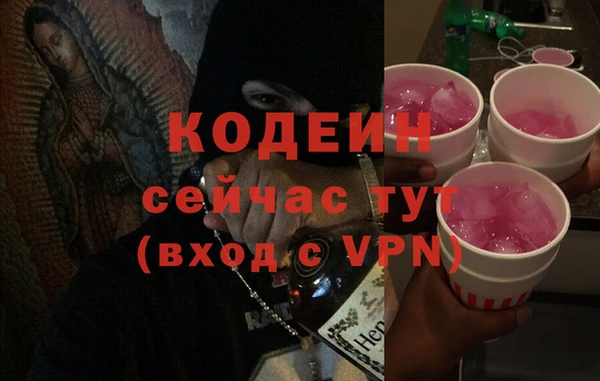 крисы Магас
