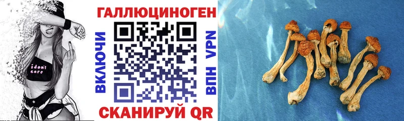 Галлюциногенные грибы GOLDEN TEACHER  Купить закладки  Исилькуль 